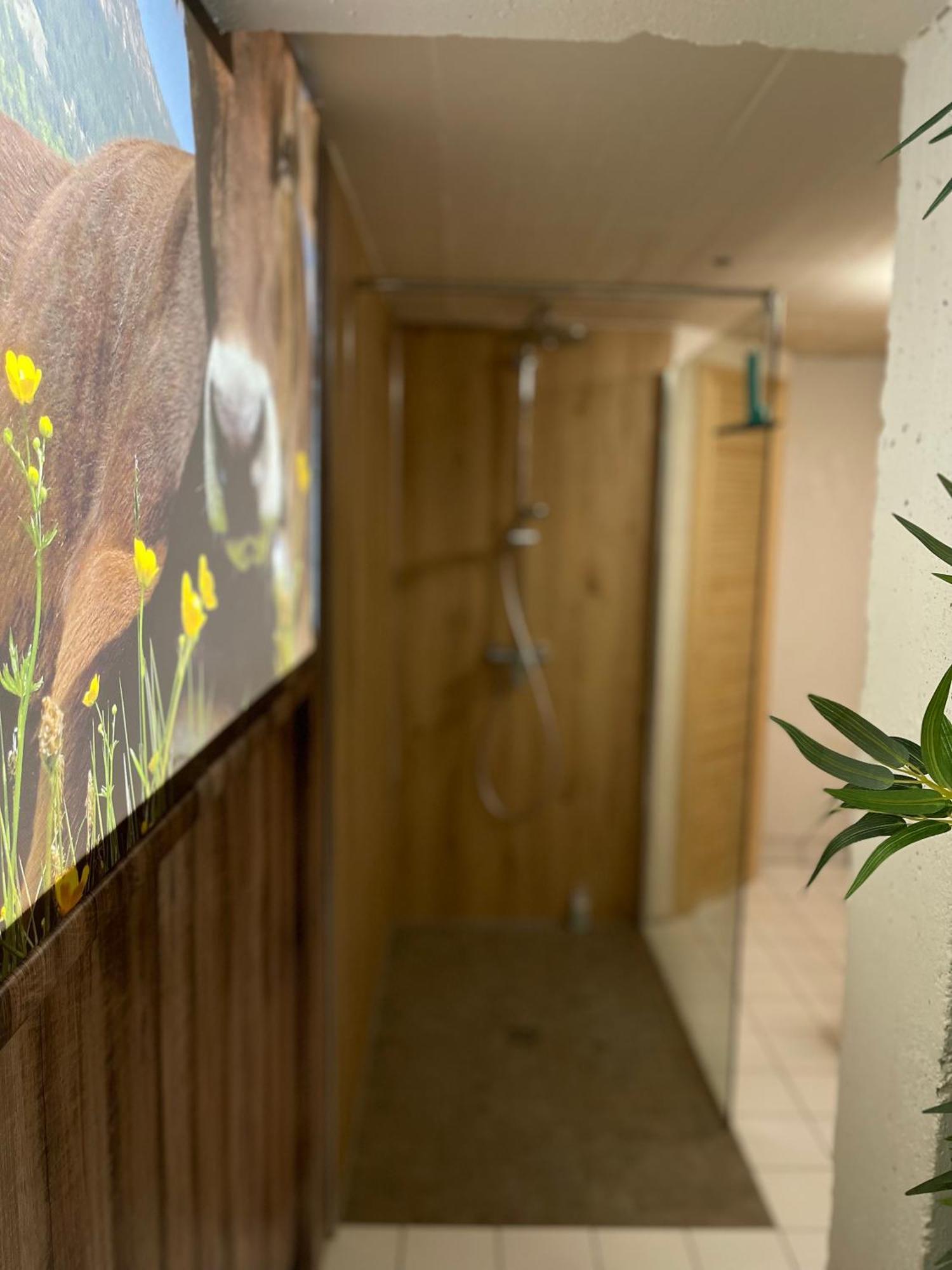 Ferienwohnung Am Muhlbach 21 Mit Bergbahn Unlimited Oberstdorf Exteriör bild